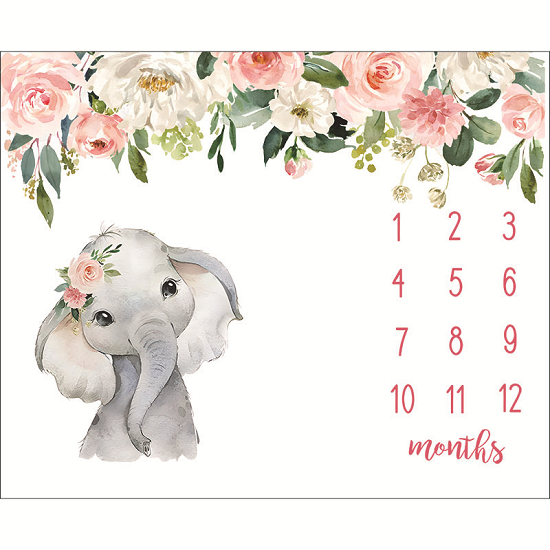 Milestone Baby Blanket