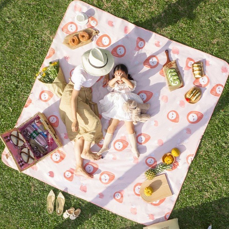 foldable picnic blanket