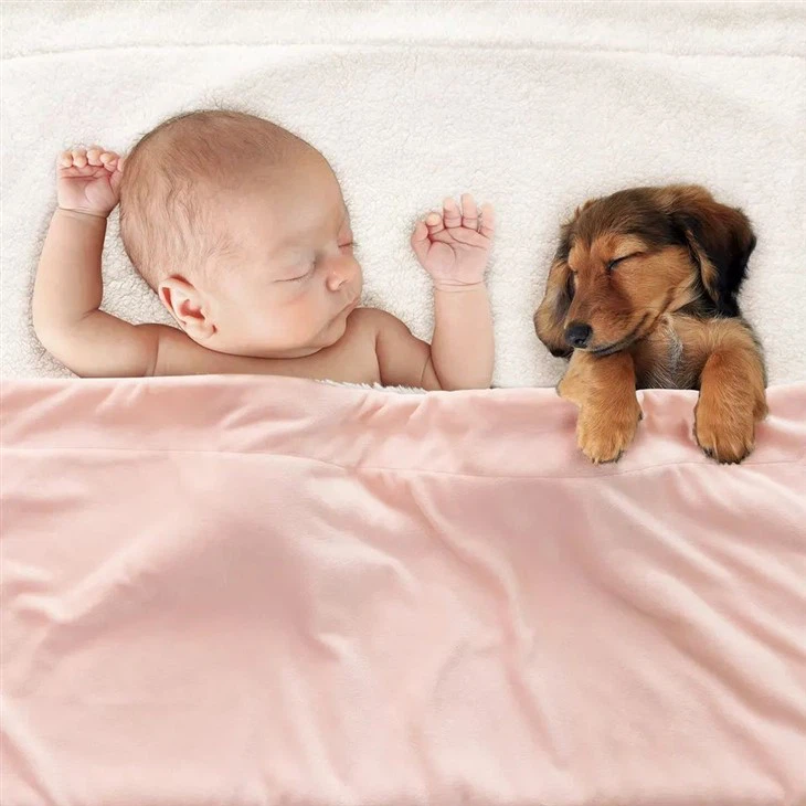 sherpa blanket for bed