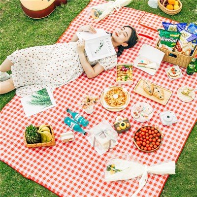 Picknickdeken voor een tuinfeestje